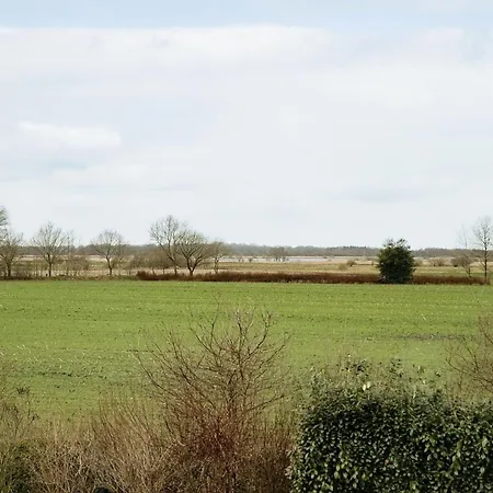 Hohner Seeblick