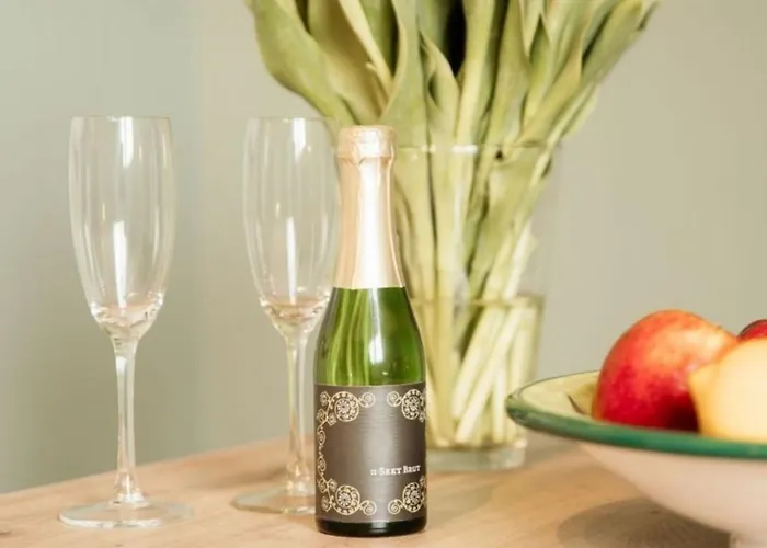 Hohner Seeblick Apartament *